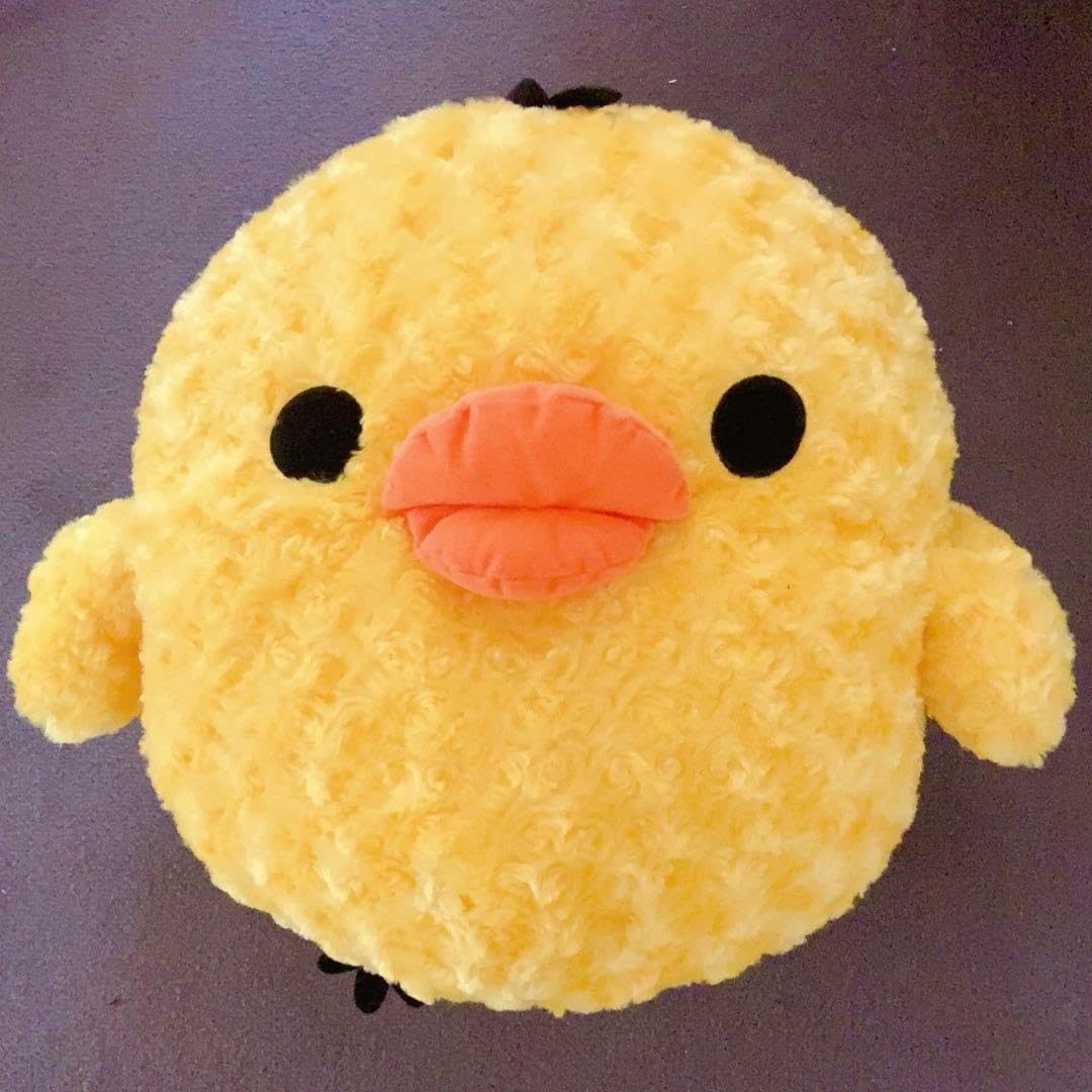 んぽちゃむ フェイスBIGクッション・BIGぬいぐるみ・マスコット 10体セット Amazon.co.jp: ボリューム満点！ んぽちゃむ フェイス BIG クッション